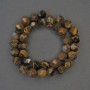 Tiger's Eye Beads, Multifaceted, 10x9 mm diameter, 36 cm length