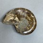 Ammonite with a cavity souvenir stone, diameter 94 mm ±, weight 206 g (price per piece)
