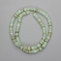 Scapharca shell rondelle beads, 6 mm diameter, 1–1.5 mm hole, 39 cm length on thread
