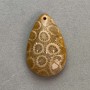 Pendant Fossilized Coral 37×23 mm+