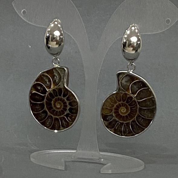 Ammonite Earrings, natural ammonite, diameter 32×27 mm ±, length 53 mm ±