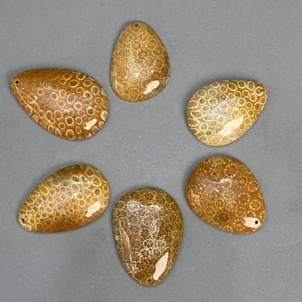 Pendant Fossilized Coral 45-55×35-40 mm ± assorted size