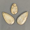 Pendant with Fossilized Coral 40–60 × 25–30 mm ± Assorted Sizes