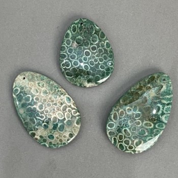 Pendant Fossilized Coral 50-65×40 mm ± Assorted Sizes