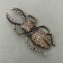 Brooch May Beetle with Crystals - Golden Metal 37x78mm