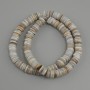 Scapharca Shell Rondelle Beads, 8x1.5-2mm ±, 38cm ± on Line