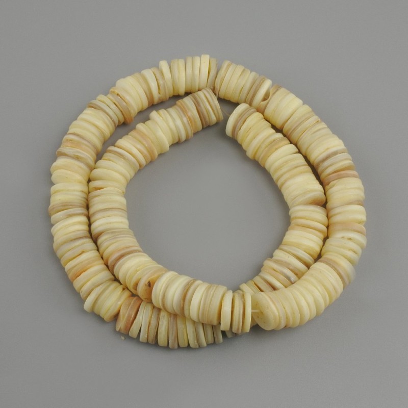 Scafari shells Rondelle Pearls Beads 10x2 mm, thread 39 cm