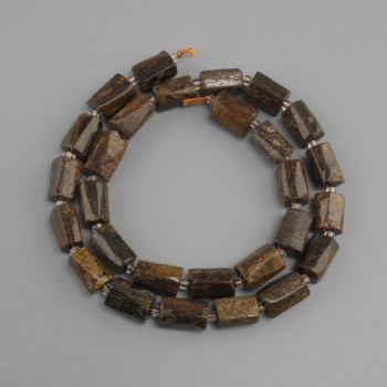 Bronzite Beads Cut, diameter 11-3x7-9mm+- seed beads 3mm+-, length 40cm+