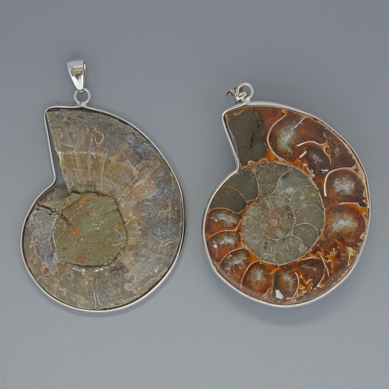 Ammonite Pendant, assorted sizes from 35x43mm to 37x45mm, length approx. 53mm, in a silver-tone setting