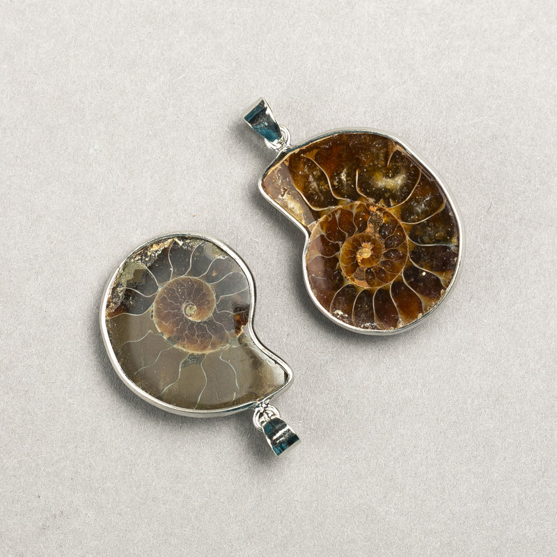 Ammonite Pendant in a Silver Bezel, Assorted Sizes from 20x30mm ± to 30x40mm ± (per piece)